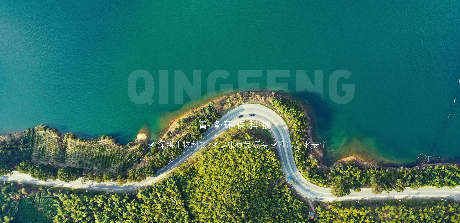 焦作市青峰网络科技有限公司